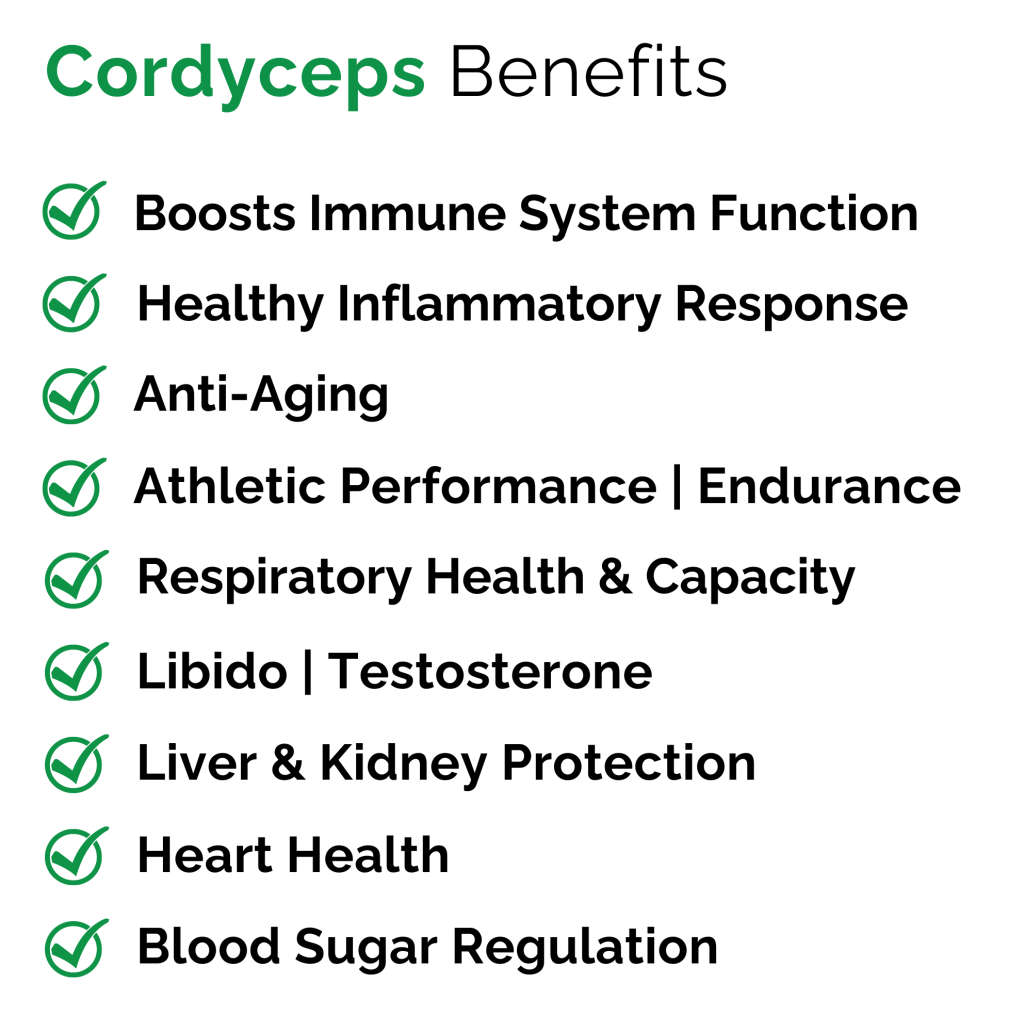 Cordyceps Benefits (Original)