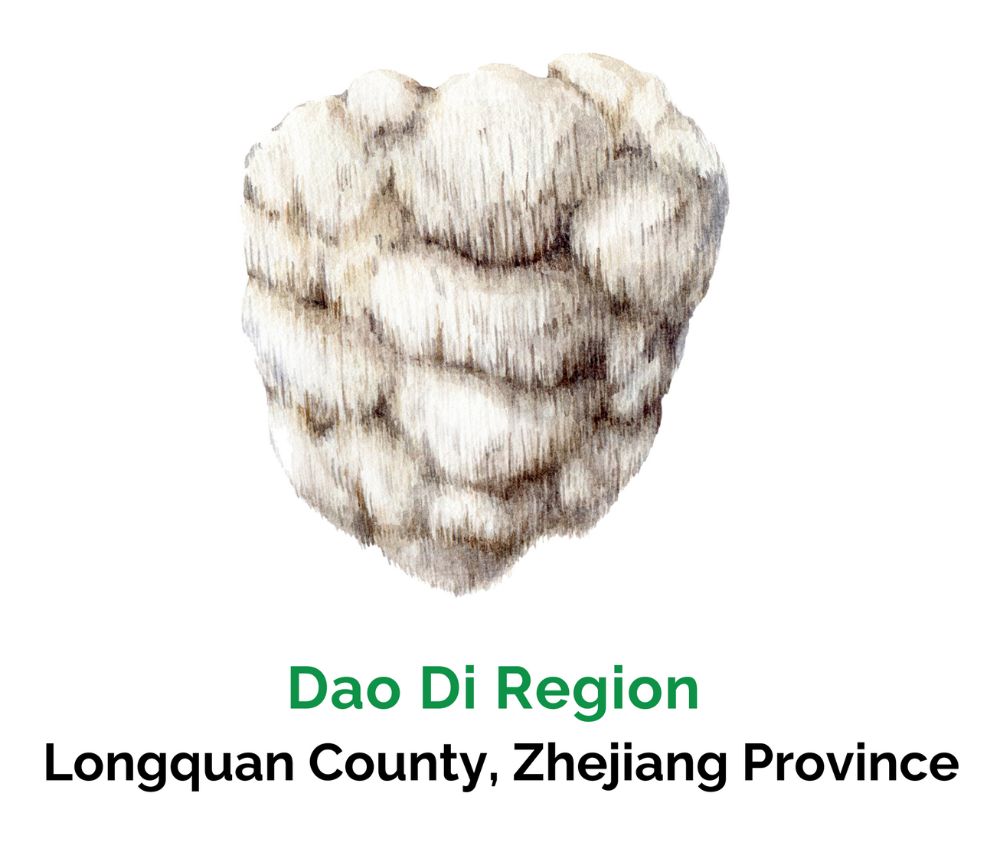 Qi to Life - Dao Di Region