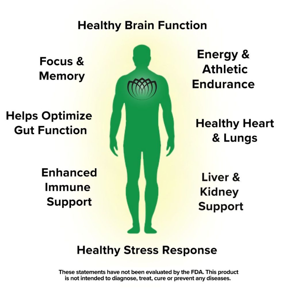 Qi to Life - Healthy Stress Response