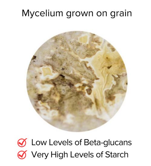 Qi to Life - Mushrooms - Fruiting Bodies pic 3